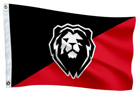 Custom Flags 29 Custom flag with school or club lion mascot logo